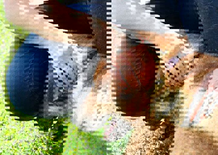 16_05220302.jpg