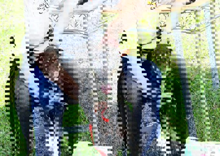 16_05220303.jpg