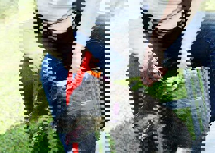 16_05220304.jpg