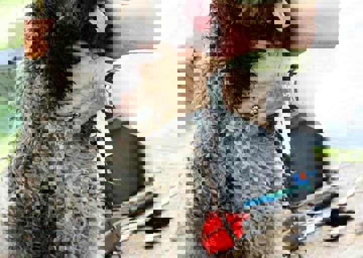 16_05220308.jpg