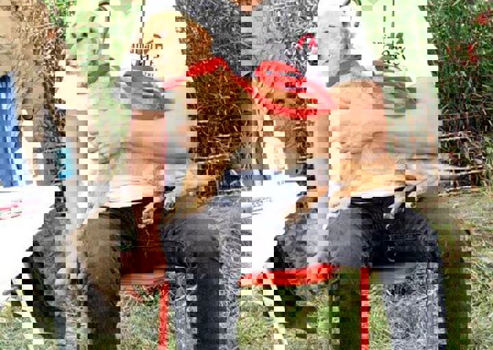 16_05220310.jpg