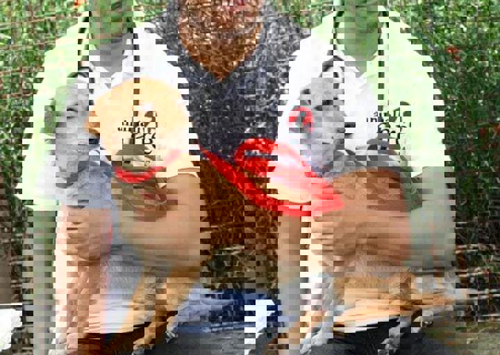 16_05220312.jpg