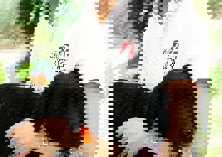 16_05220314.jpg
