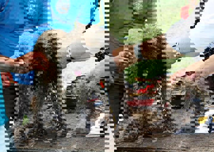 16_05220315.jpg