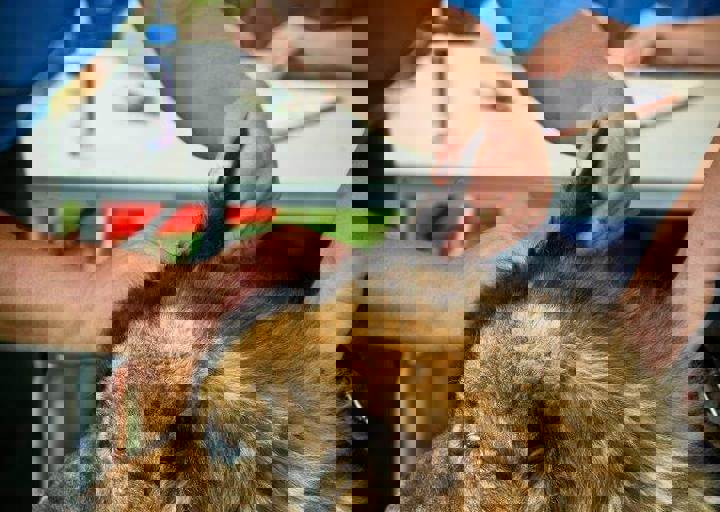 aca_careday_2015_08_23_1012.jpg