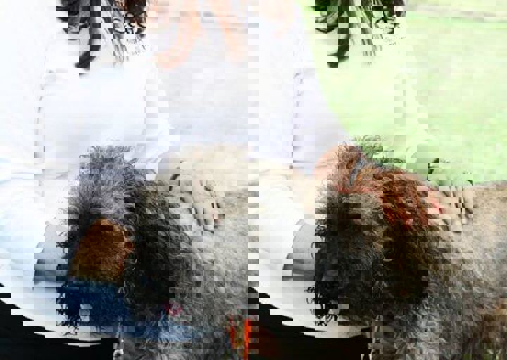 16_05220325.jpg