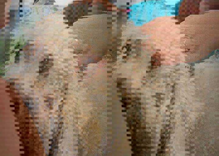 aca_careday_2015_08_23_1015.jpg