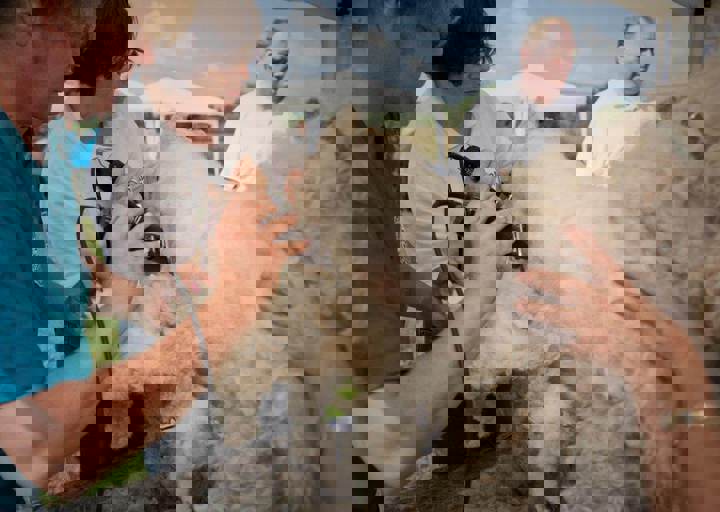 aca_careday_2015_08_23_1017.jpg