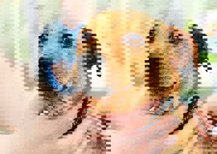 16_05220330.jpg