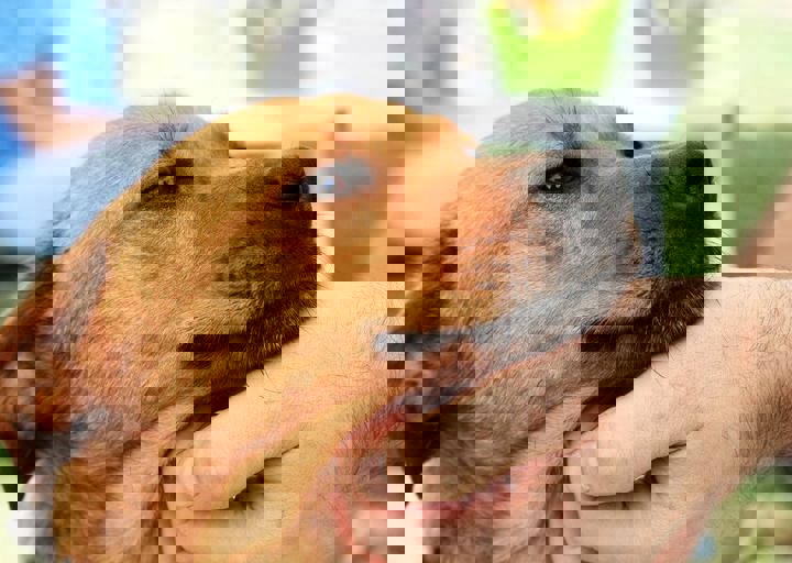 16_05220332.jpg