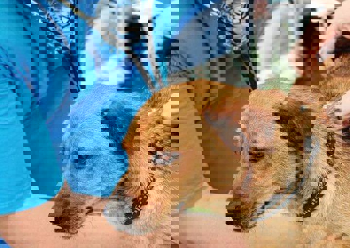 16_05220334.jpg