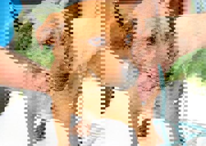 16_05220335.jpg
