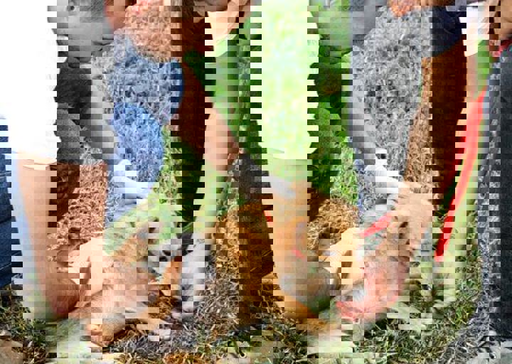 16_05220337.jpg