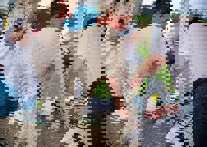 aca_careday_2015_08_23_1027.jpg