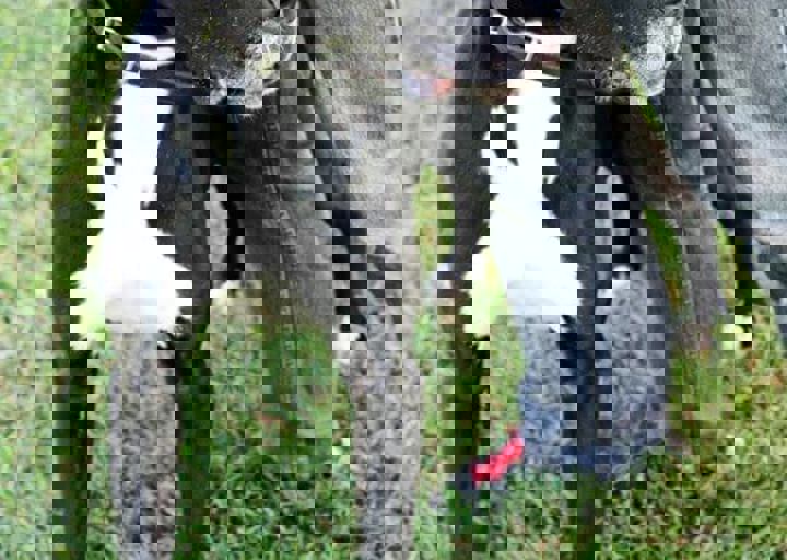 16_05220339.jpg