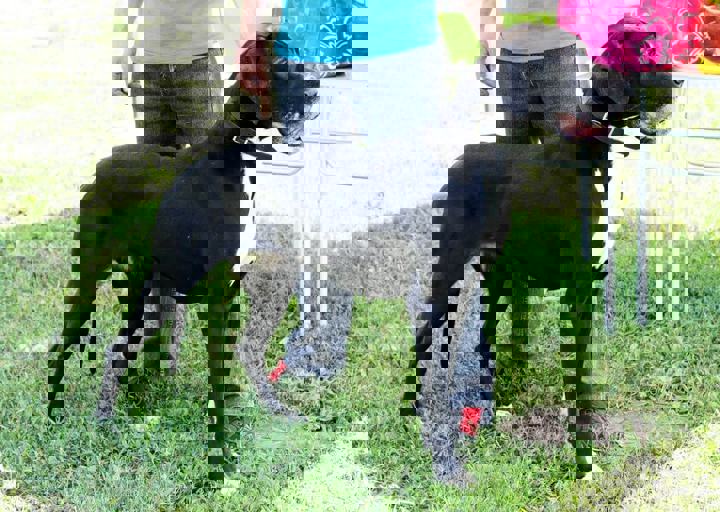 16_05220341.jpg