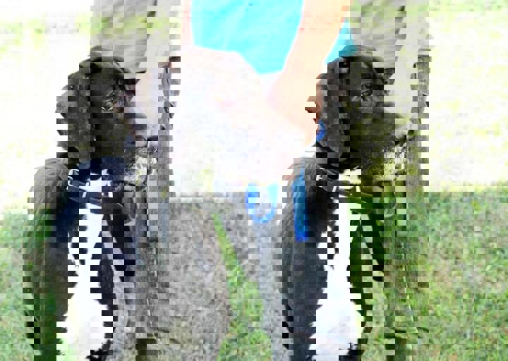 16_05220343.jpg