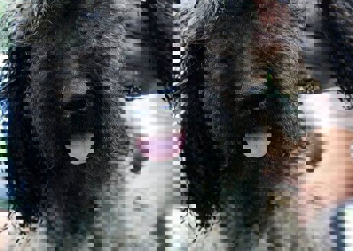 16_05220346.jpg