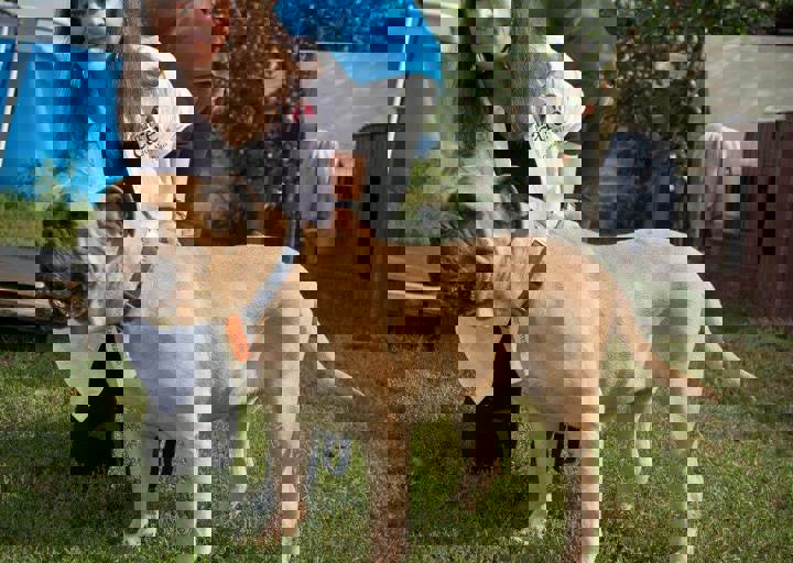 aca_careday_2015_08_23_1034.jpg