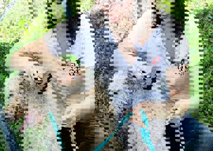 16_05220349.jpg