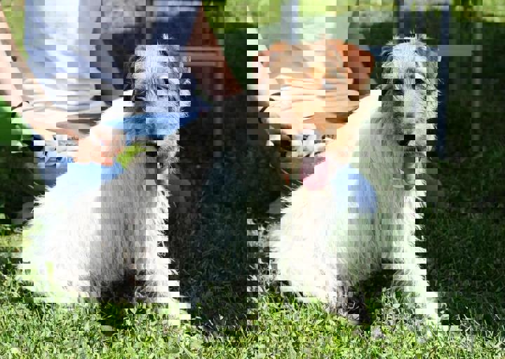 16_05220350.jpg