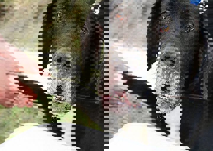 16_05220351.jpg