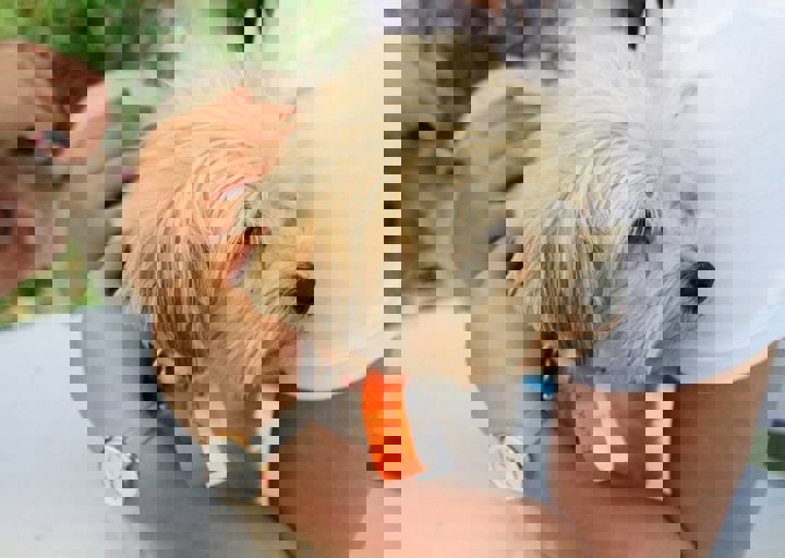 16_05220353.jpg