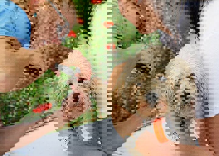 16_05220354.jpg