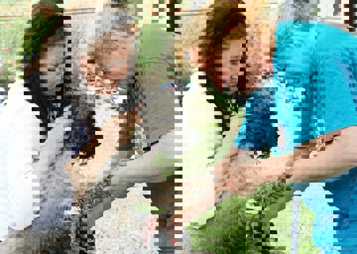 16_05220355.jpg