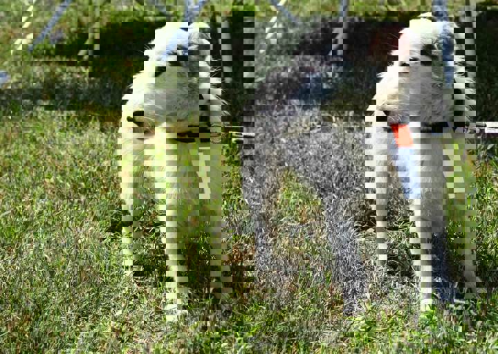 16_05220356.jpg