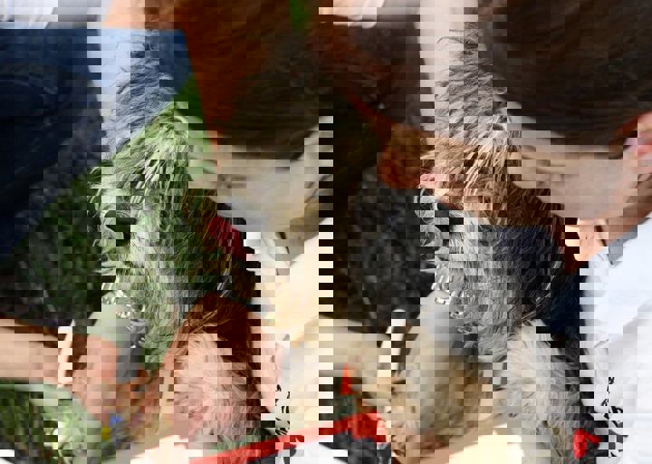16_05220358.jpg