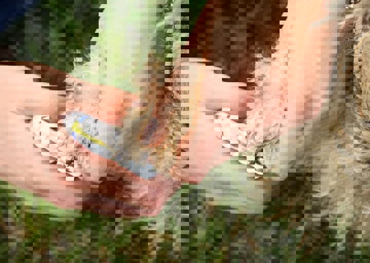 16_05220359.jpg