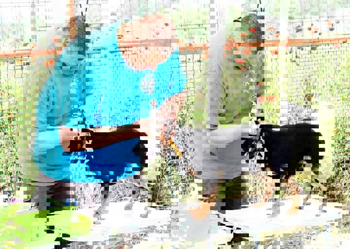 16_05220360.jpg