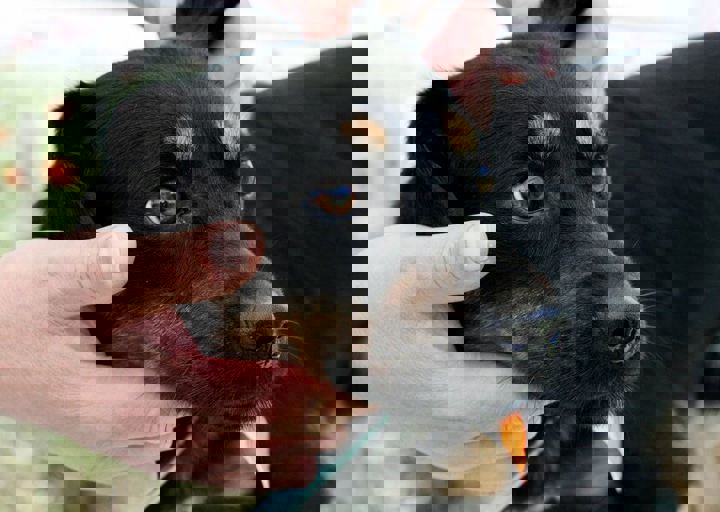 16_05220362.jpg