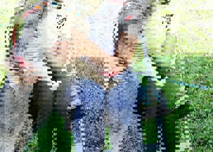 16_05220365.jpg