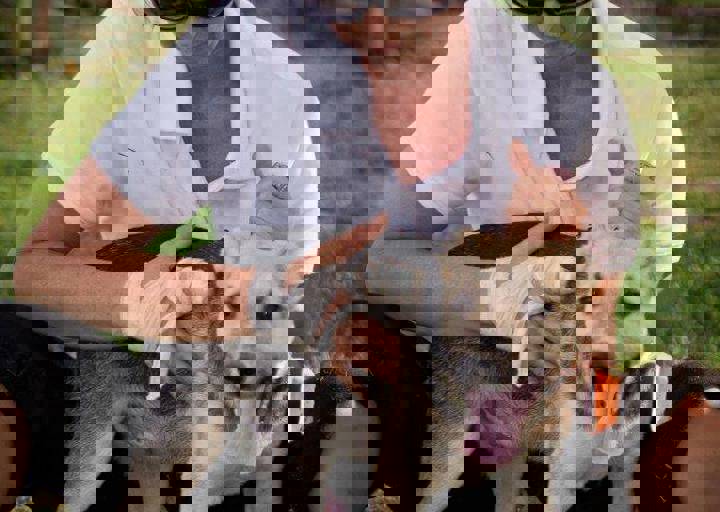 aca_careday_2015_08_23_1050.jpg