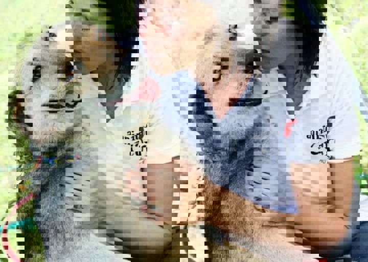 16_05220367.jpg