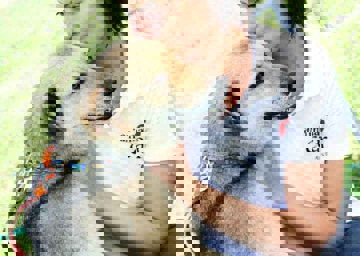 16_05220368.jpg