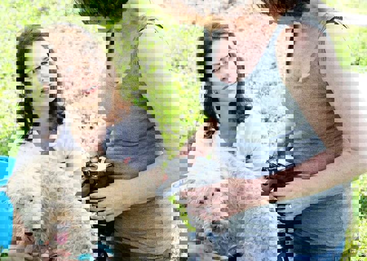 16_05220369.jpg