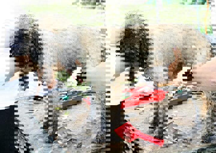 16_05220374.jpg