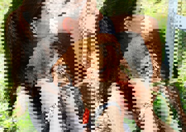 16_05220375.jpg