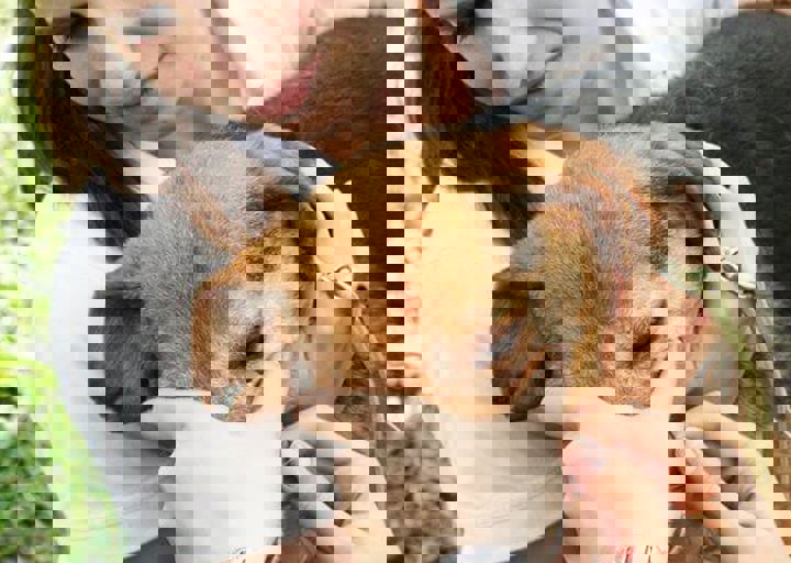 16_05220376.jpg