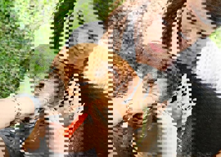 16_05220377.jpg