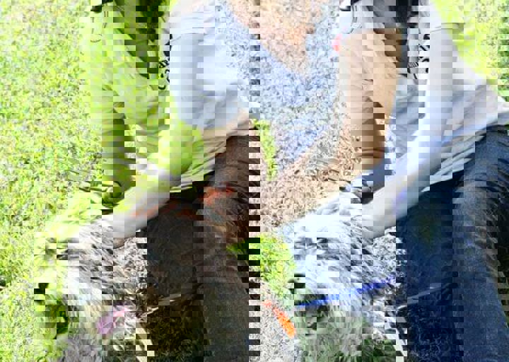 16_05220379.jpg