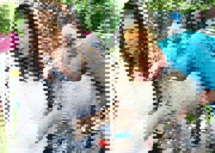 16_05220384.jpg