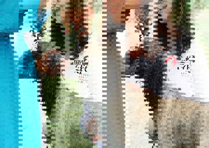 16_05220390.jpg