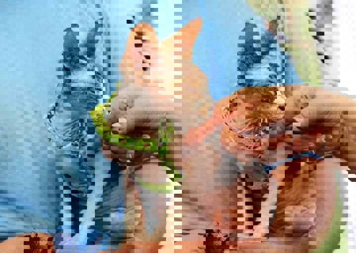 16_05220393.jpg