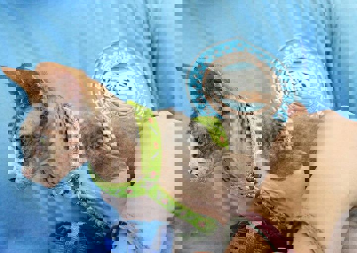 16_05220396.jpg