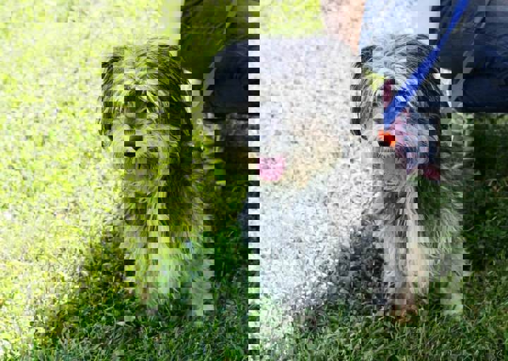 16_05220399.jpg