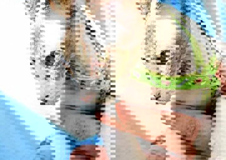 16_05220400.jpg